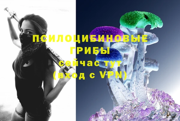 прущие грибы Бугульма