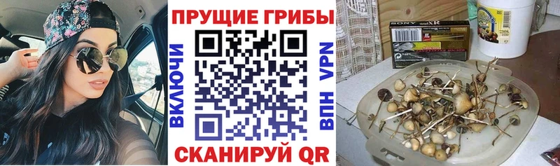 Галлюциногенные грибы ЛСД  Куйбышев 