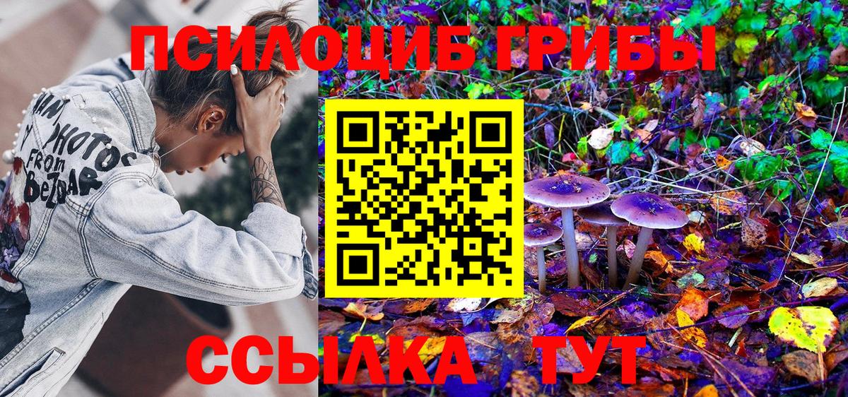 Псилоцибиновые грибы Psilocybine cubensis Куйбышев