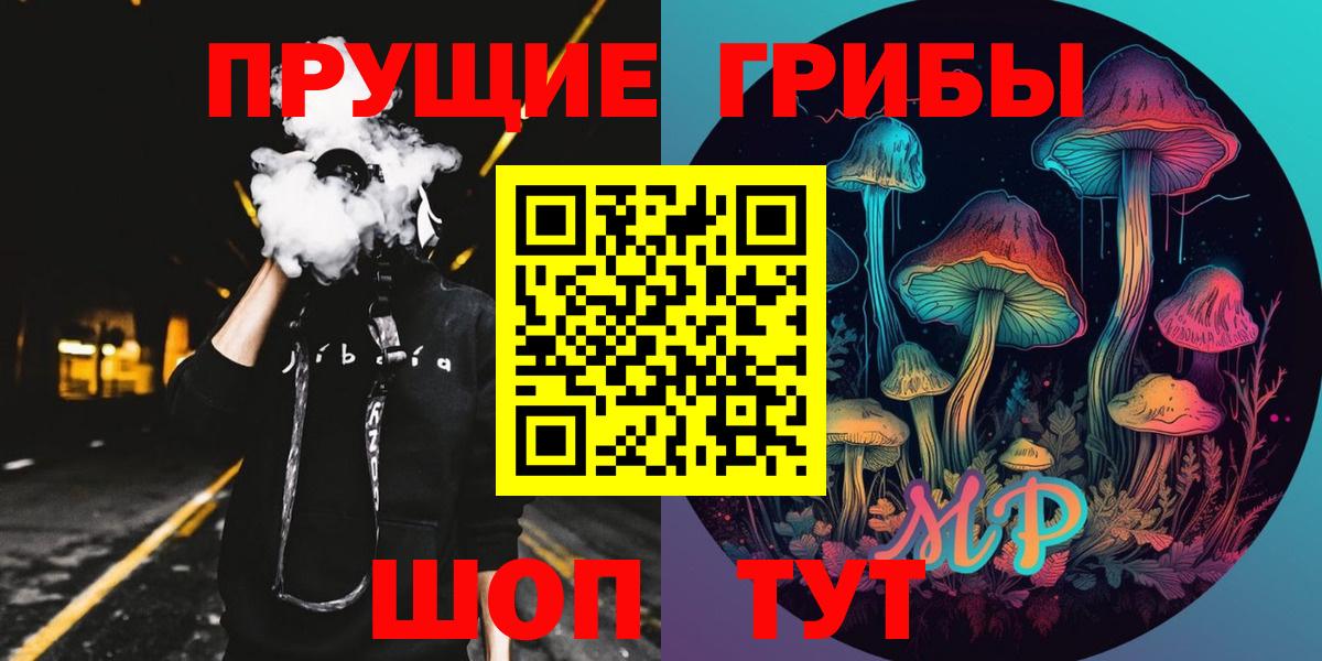 Галлюциногенные грибы мицелий  где продают наркотики  Галлюциногенные грибы Cubensis  Куйбышев  Вход с VPN 